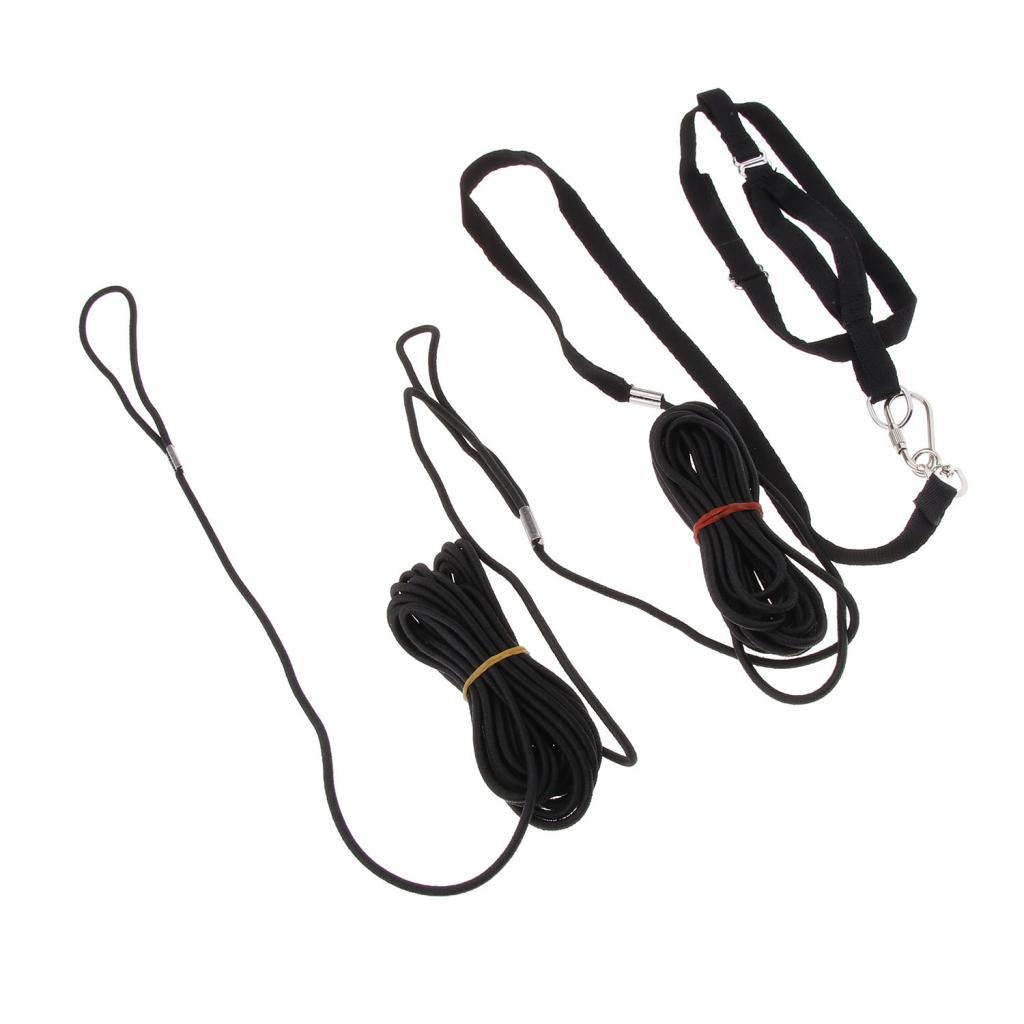 Parrot Adjustable Bird Harness and Leash Outdoor Walking Safe Traction Rope