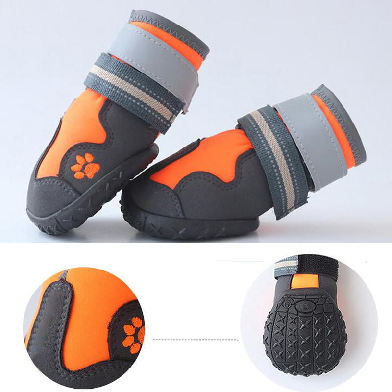 Sapatos p cães