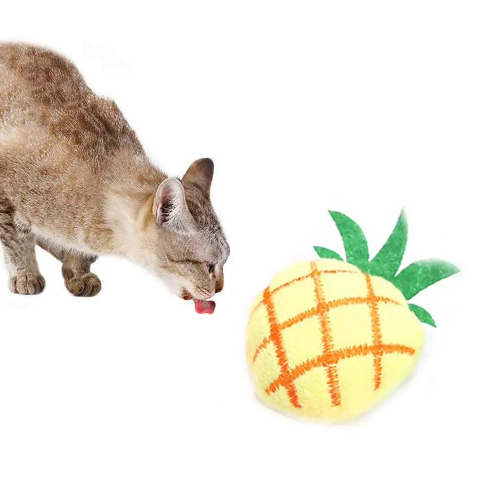 heaven2017 Carrot Pineapple Stuffed Cat Catnip Molar Bite Chew Toy for Cat Kitten Carrot 