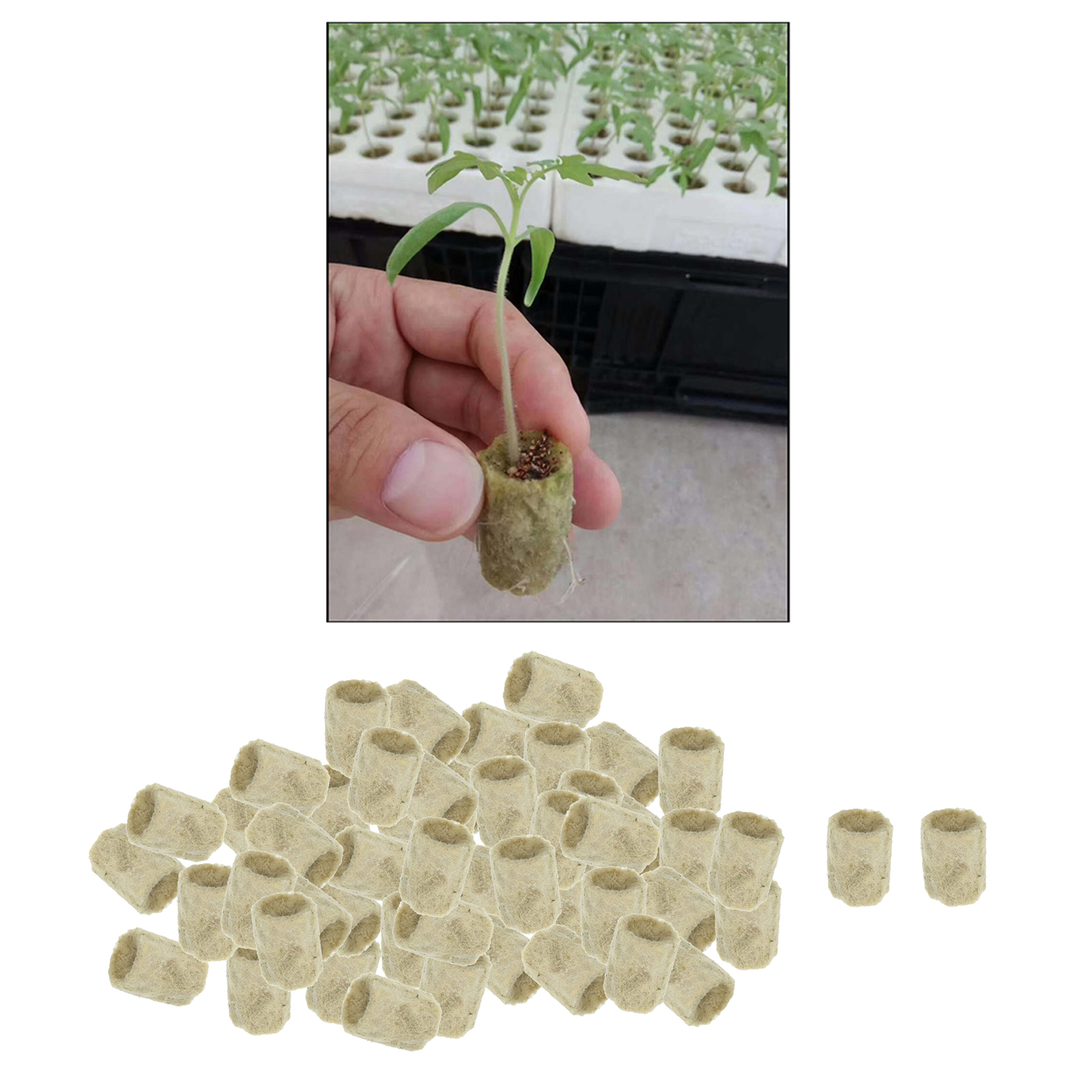 50x Garden Flower Starter Plugs Cubes Rock Wool Grow Media Nursery Block