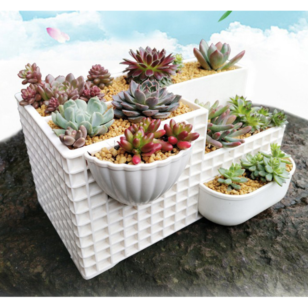 Succulent Planter Pots Desktop Cactus Plant Flower Pot DIY Garden Home Decor
