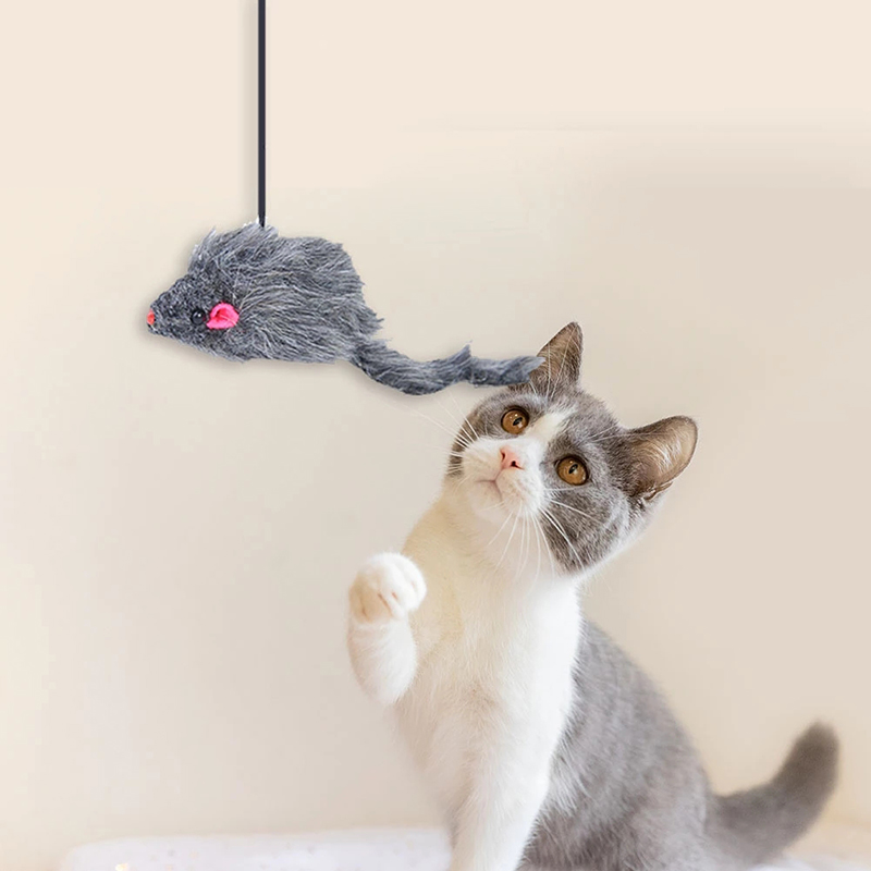 door hanging cat toy