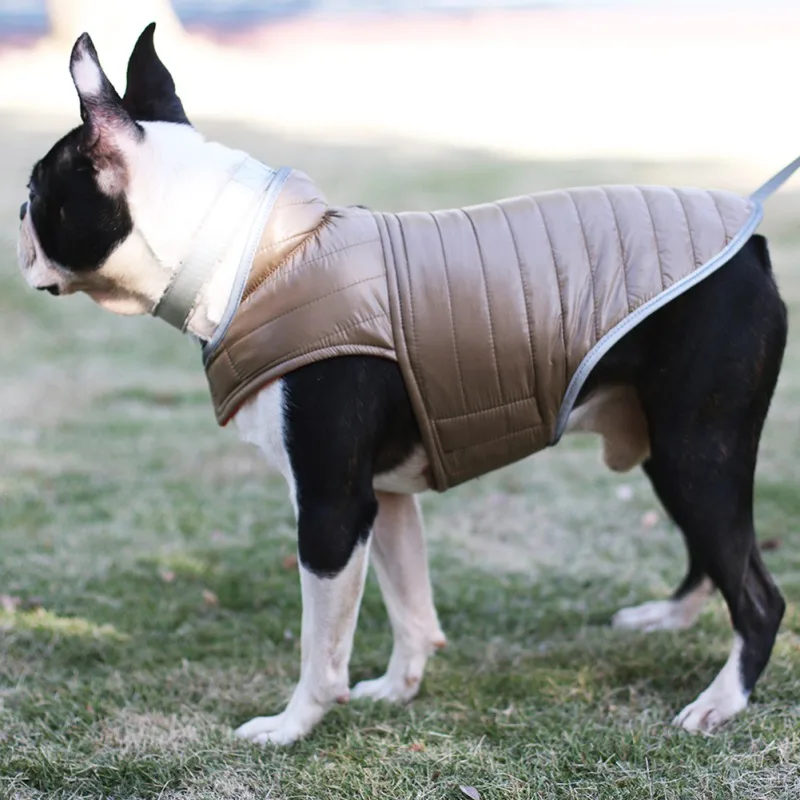 Un perro con chaleco. El perro parece ser un Boston Terrier, caracterizado por su pelaje blanco y negro y sus rasgos faciales distintivos. El chaleco está diseñado para brindar calidez y protección, posiblemente para climas fríos o para mantener al perro cómodo durante actividades al aire libre.