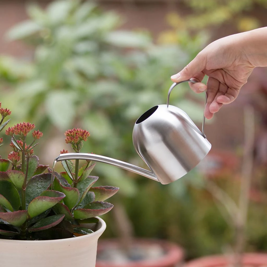 Stainless Steel Small Watering Can Long Nozzle Design Makes Watering More Convenient And Efficient