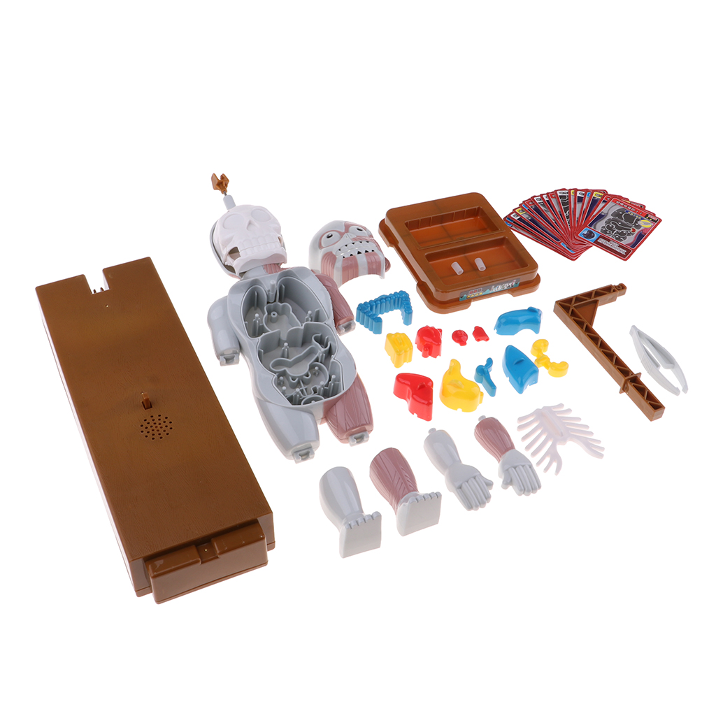 Kids Human Body Model Toy With Removable Organs, Family Fun Games for Halloween Party