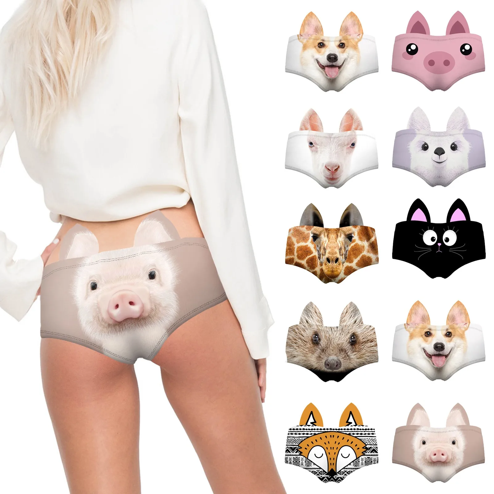 Best Panties Images On Pinterest Cute Kittens Pigs 2