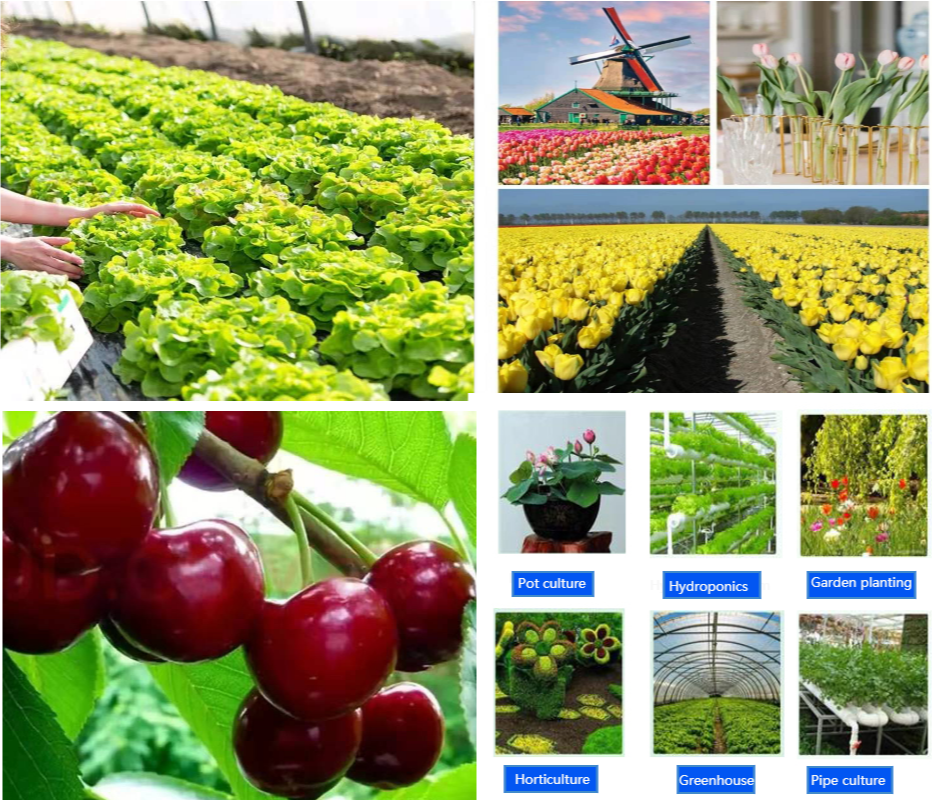 Superbright Diy Samsung Led Lm301h Quantum Tech Qb288 V3 Panel Light 120w 240w Led Grow Light Meanwell Driver For Plant Light Led Grow Lights Aliexpress