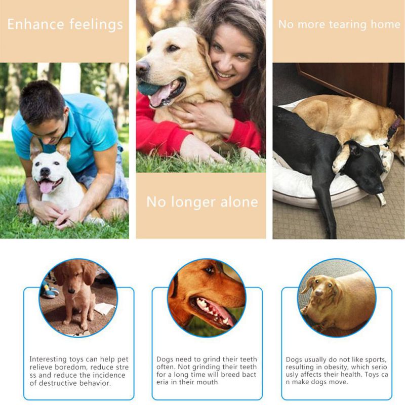 Why Has My Dog Started Grinding Her Teeth