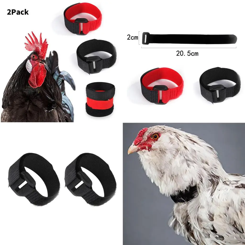 2 Pack Anti Crow Noise Rooster Collar No Crow Noise Neck Belt for Roosters Cockerel Nylon -Adjustable Belt Durable And Safe