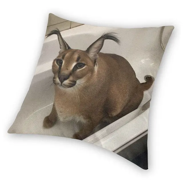  Big Floppa Caracal Cat Meme Gifts Caracal Cat Meme Retro Girl  Who Loves Big Floppa Throw Pillow, 18x18, Multicolor : Home & Kitchen