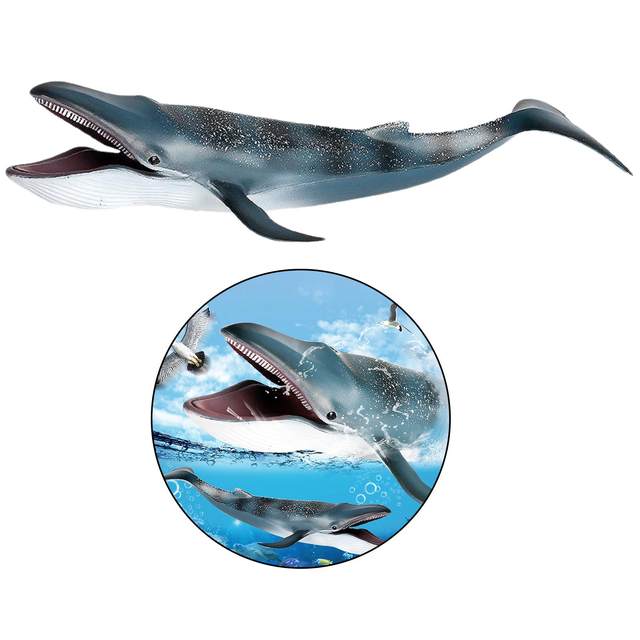Simulation Blue Whale Animal Figure Collectible Toys Sea Animal Cognition Action Figures Kids Plastic Toys