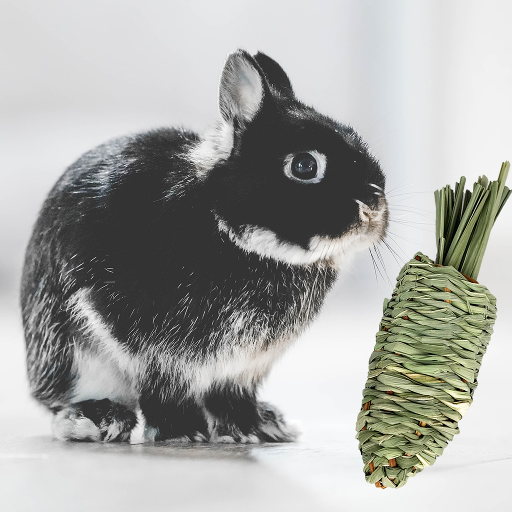 Rabbit Chew Toy Pet Tooth Cleaning Natural Grind Teeth Toys for Chinchillas Playing