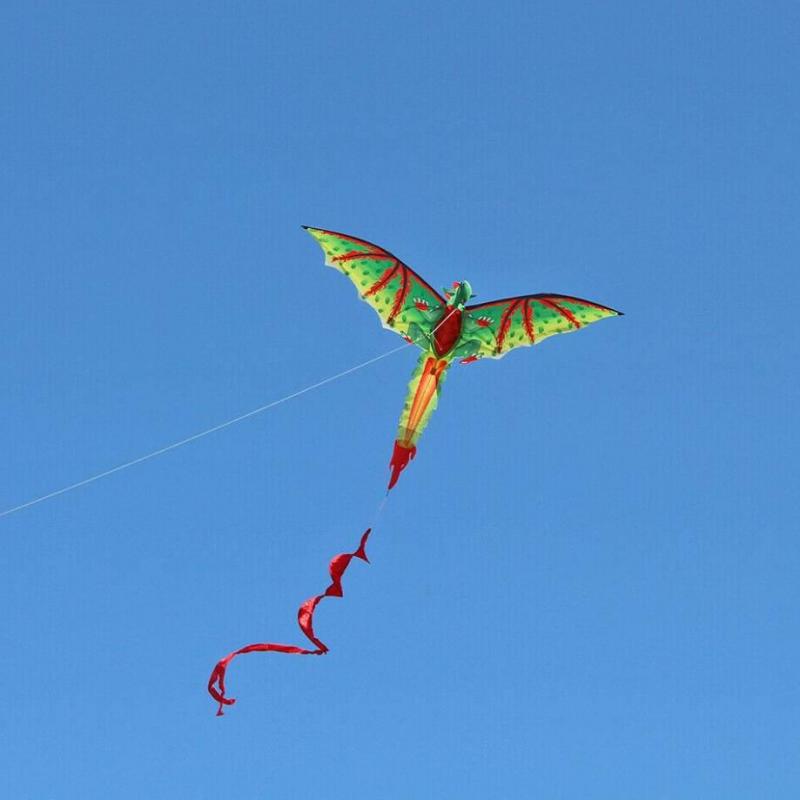 3D Dinosaur Kite Long Tail Design,Easy to Fly 3D Single Line Kite Enjoyable Kite for Adults Kids 3D Kite for Outdoor Beach Park