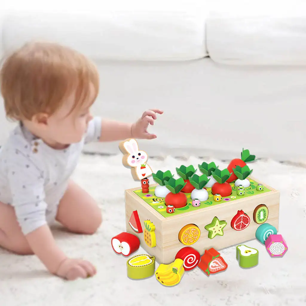Colorful Form of Wooden Toy Farm Orchard for Child in The Child