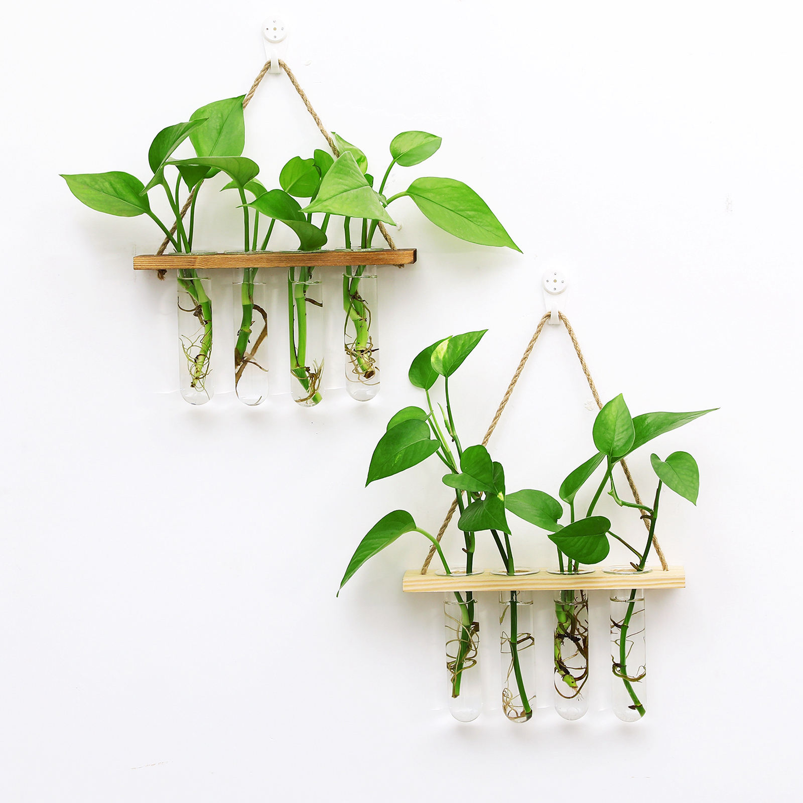 ing Clear Glass Tube Vases Planter Terrarium with Wooden er for Greenery Hydroponic Plant