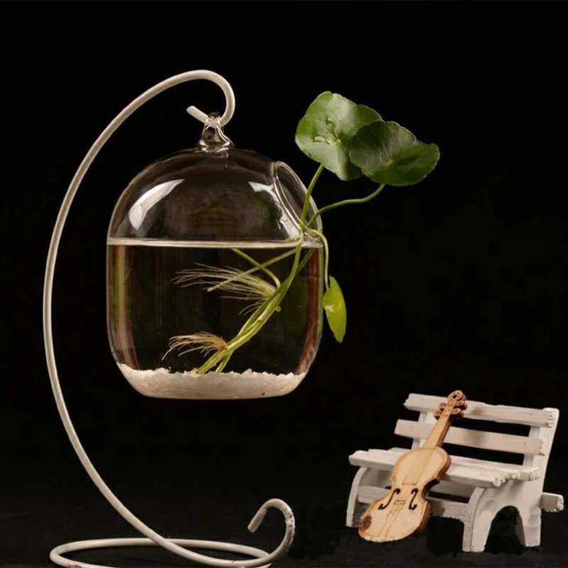 R-RIGHT Suspended Transparent Hanging Glass Fish Tank Infusion Bottle Aquarium Flower Plant Vase Flower Vase for Home Decoration 