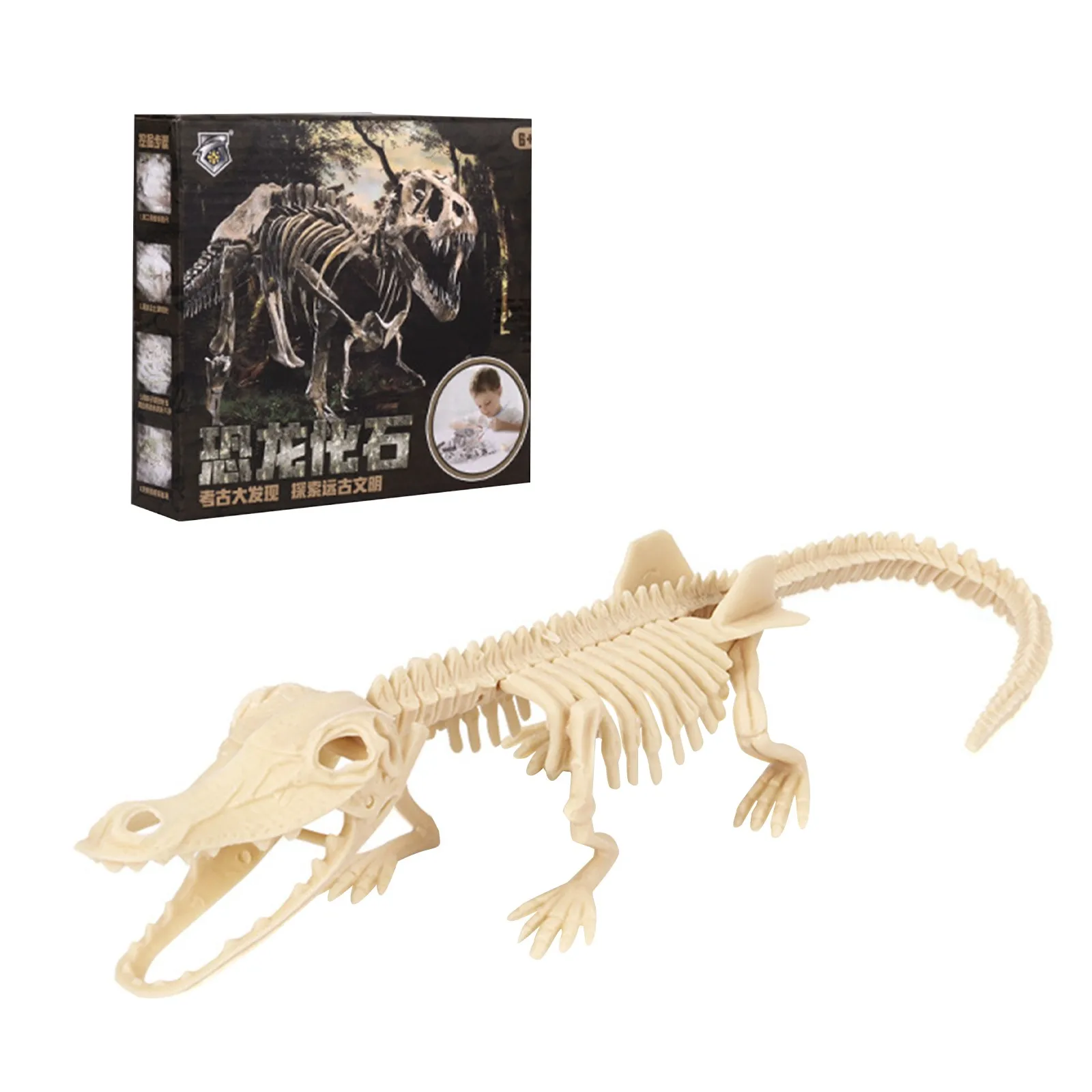 Age 6 New & Sealed Triceratops Skeleton,Dr Steve Hunters Dino Excavation Kit 