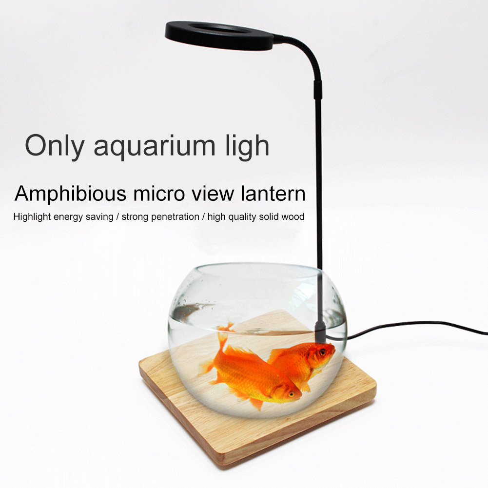 spotlight lamp amazon