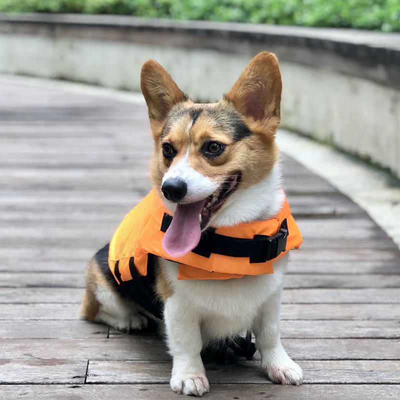 Colete salva-vidas para cachorro, roupas para cachorro