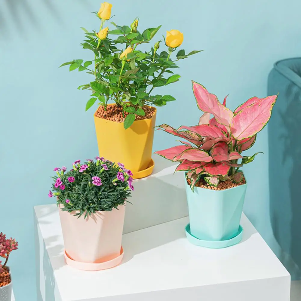 1 Pcs Succulent Plant Pot Saucer Multi Colors Sturdy Round Plastic Tray Flower Pot Water Plate Outdoor Garden Deco Supplies