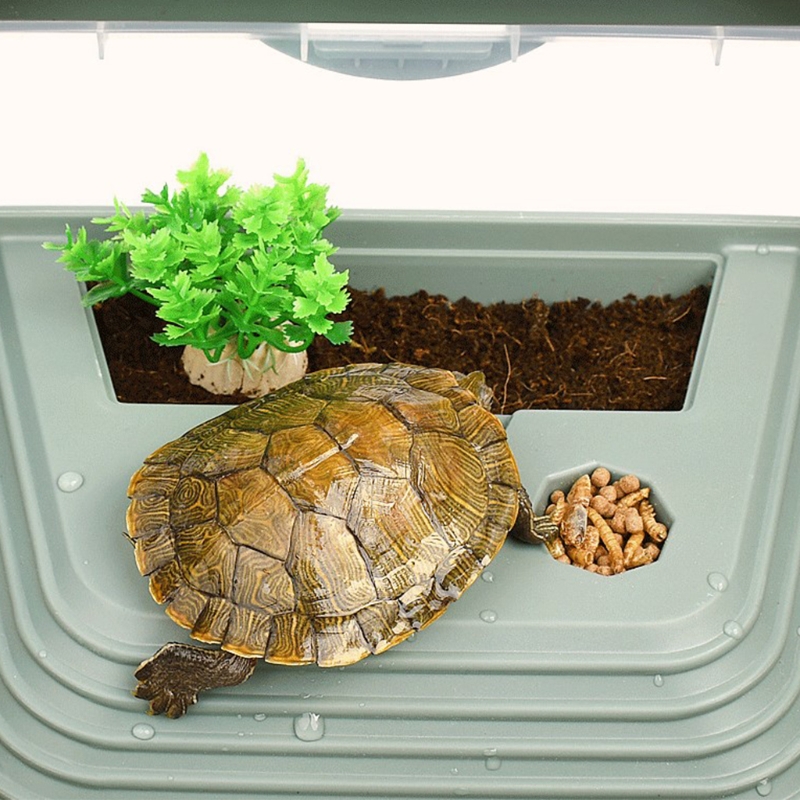 Title 5, 517E Reptile Tank Anti-Escape Plastic Spacious ...