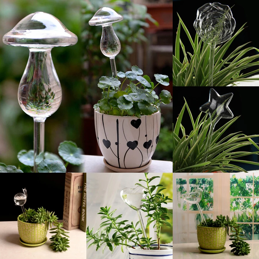 6 X Self Watering Plant Bulb Indoor Outdoor Glass Water Globes Feeder-Automatic 