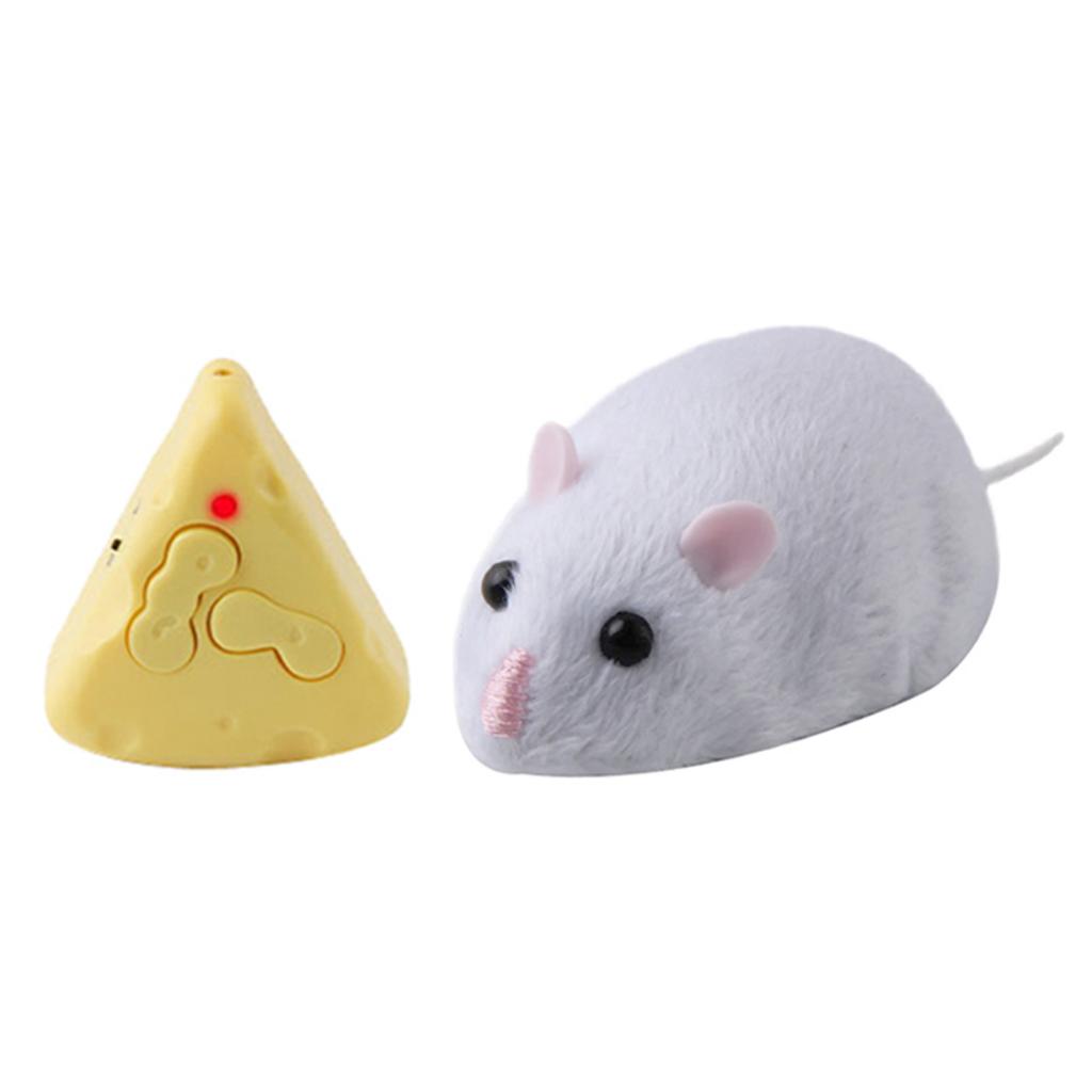 Electronic Movable Mouse Rat RC Toy Chew Training  Funny Toy