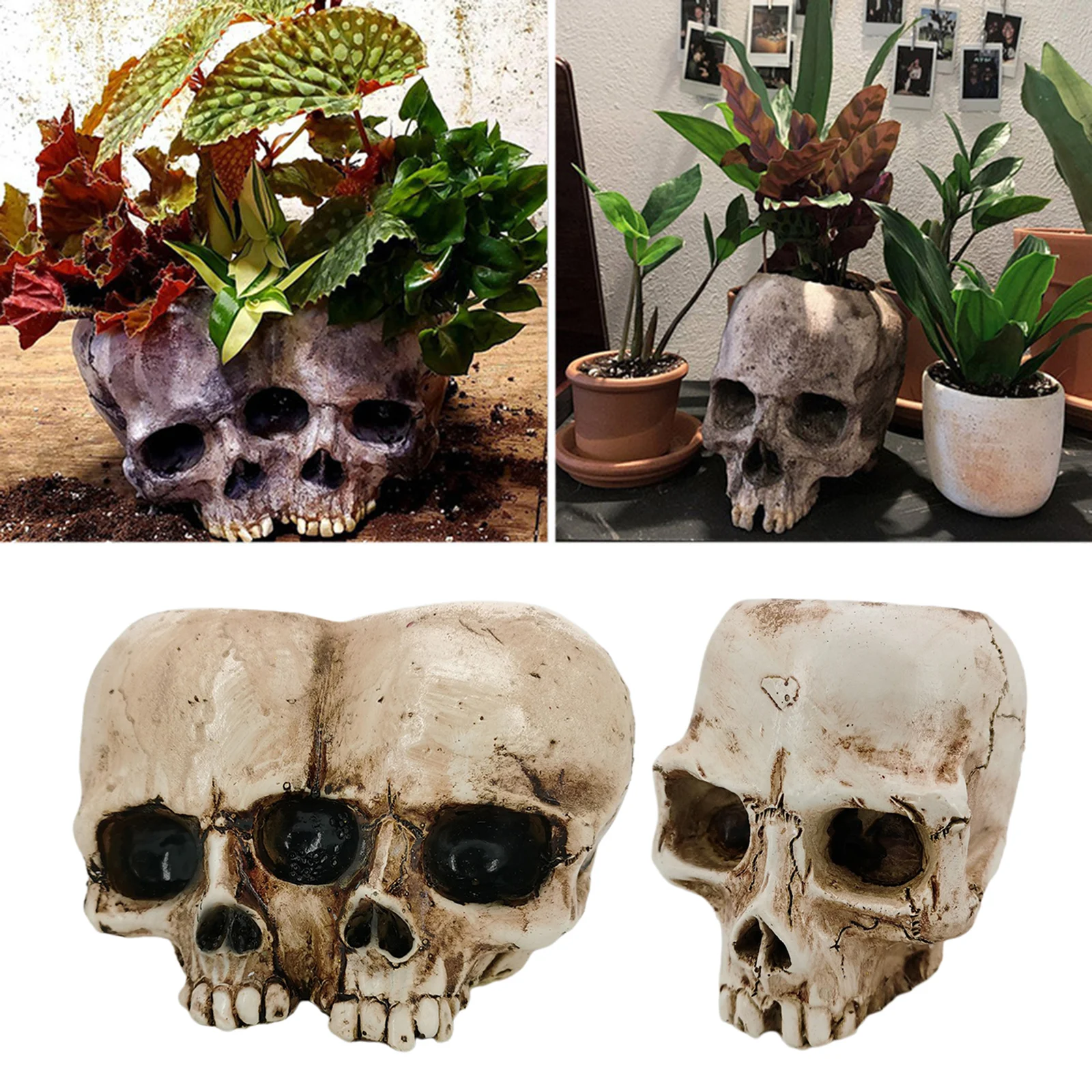 Blesiya Pcs Skull Shaped Flower Succulents Pot Planter Holder Halloween  Decor Lazada | Resin Crafts Halloween Scene Decoration Skull Skull Fake  Skull Flower Pot Pattern Skull Horro 