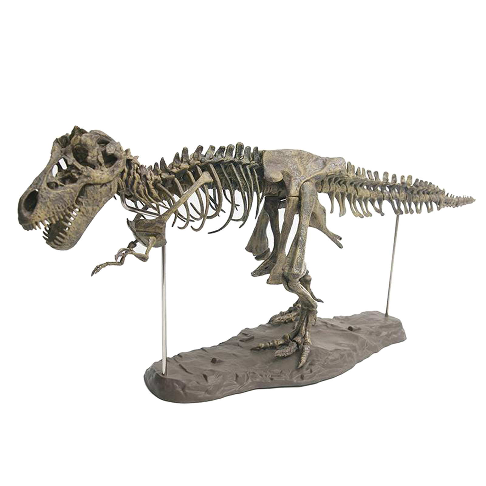 4D Dinosaur Skeleton Model Blocks Kit Unassembled Gift for Kids Boys Girls