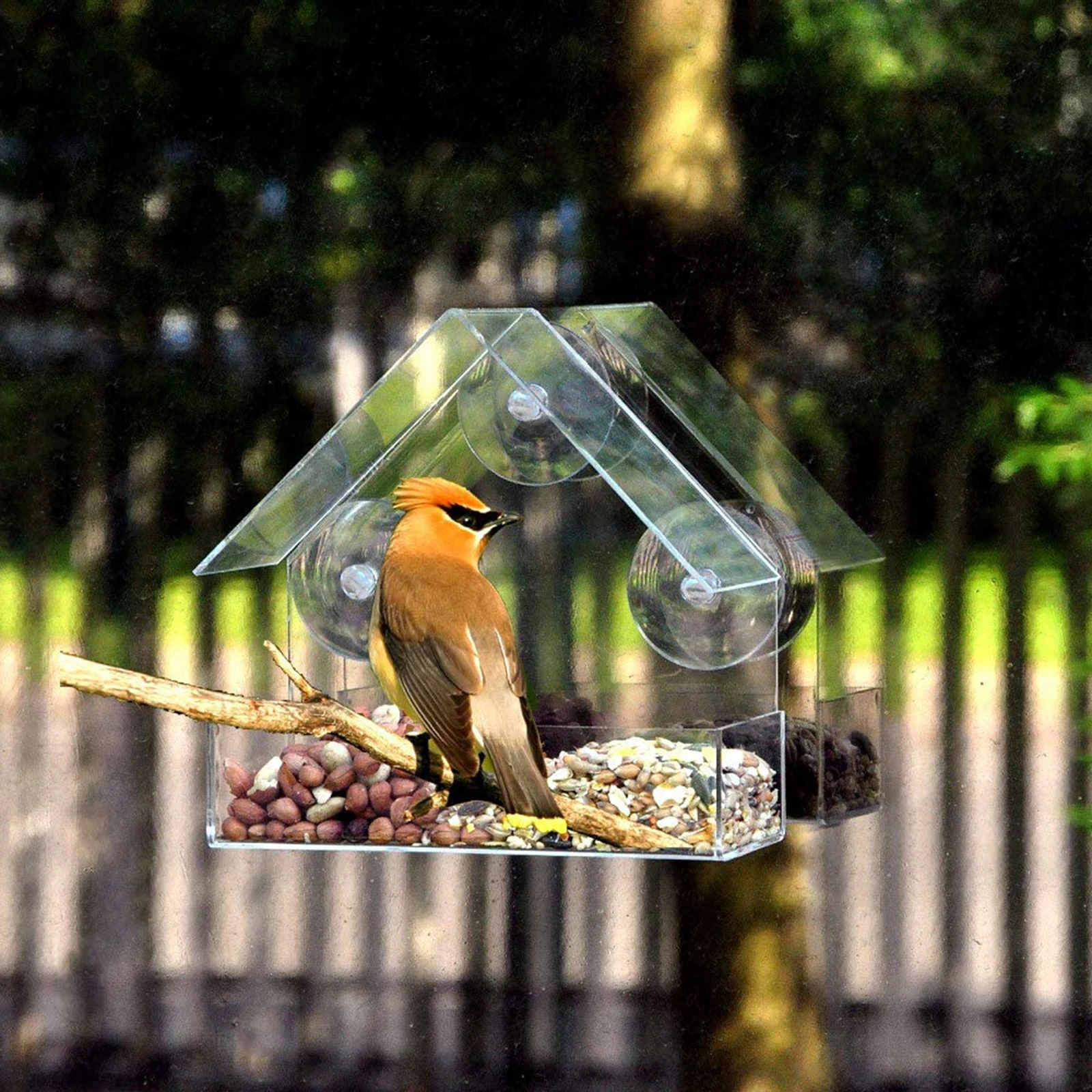 Window Bird Feeder with Strong Suction Cups & Seed Tray, Outdoor Birdfeeder for Wild Birds, Finch, Outside Hanging Birdhouse Kit