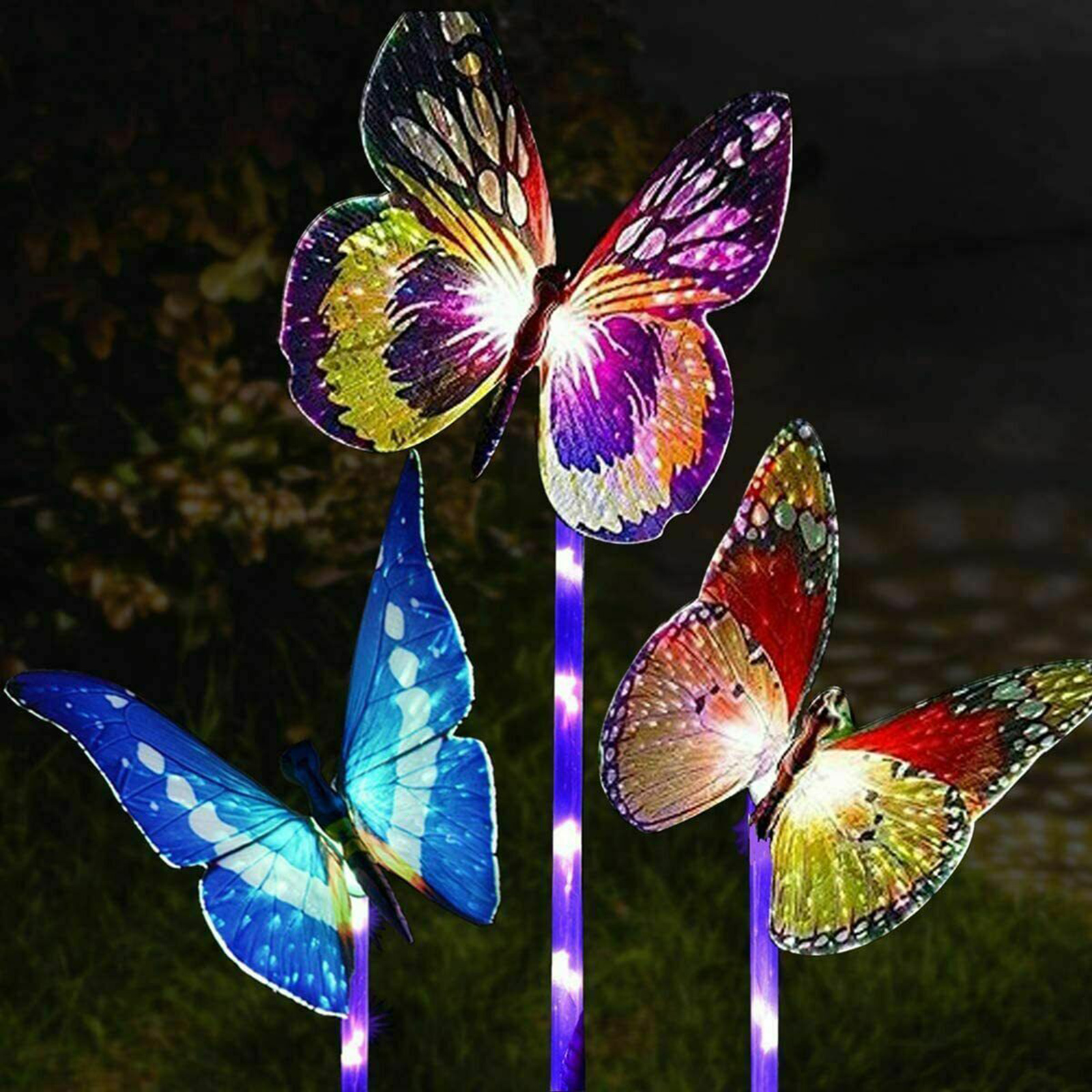 solar butterfly for garden