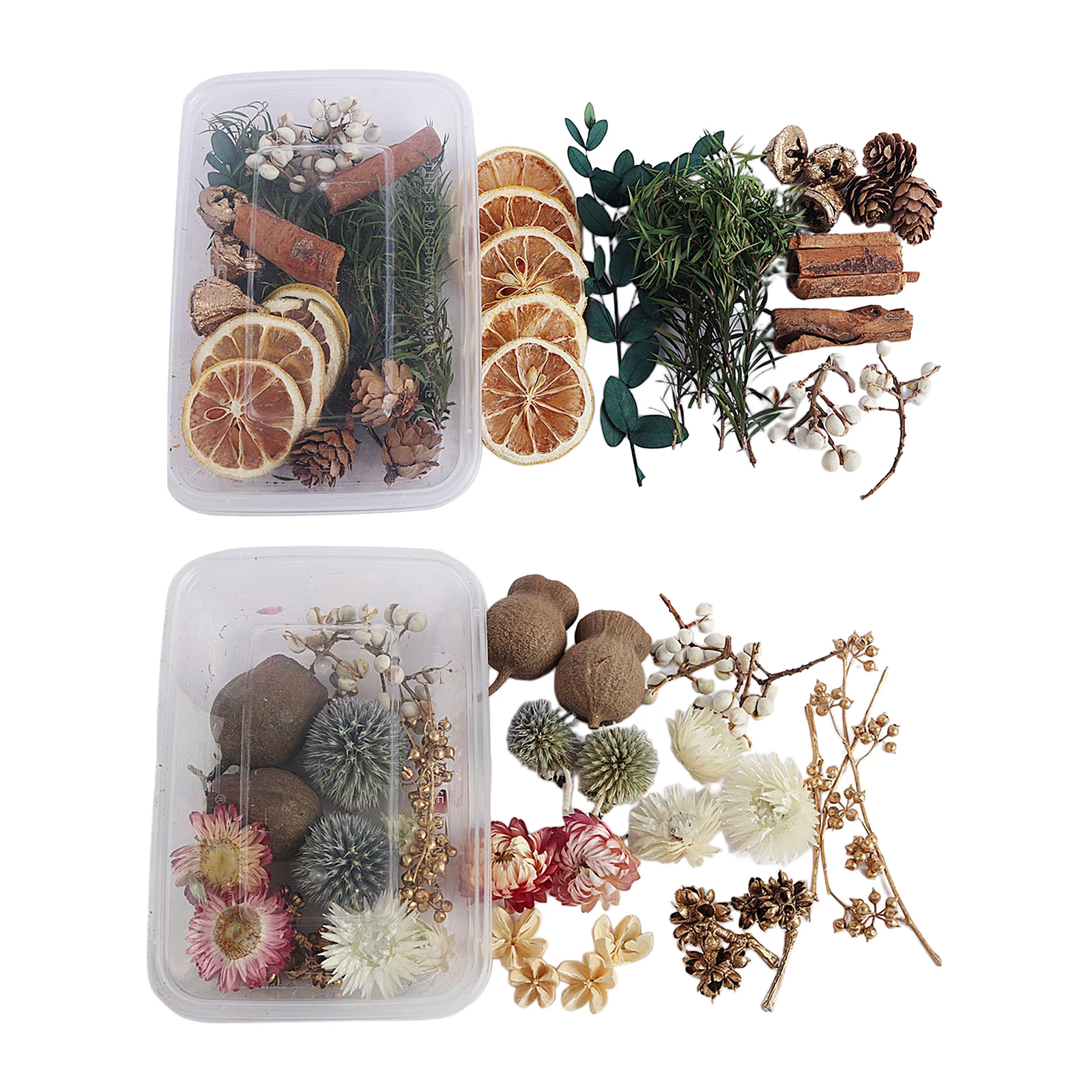 2 Boxes Real Natural Real Pressed Dried Flowers Petals Plants for Making Greeting Card, DIY Phone Case, Jewelry Craft