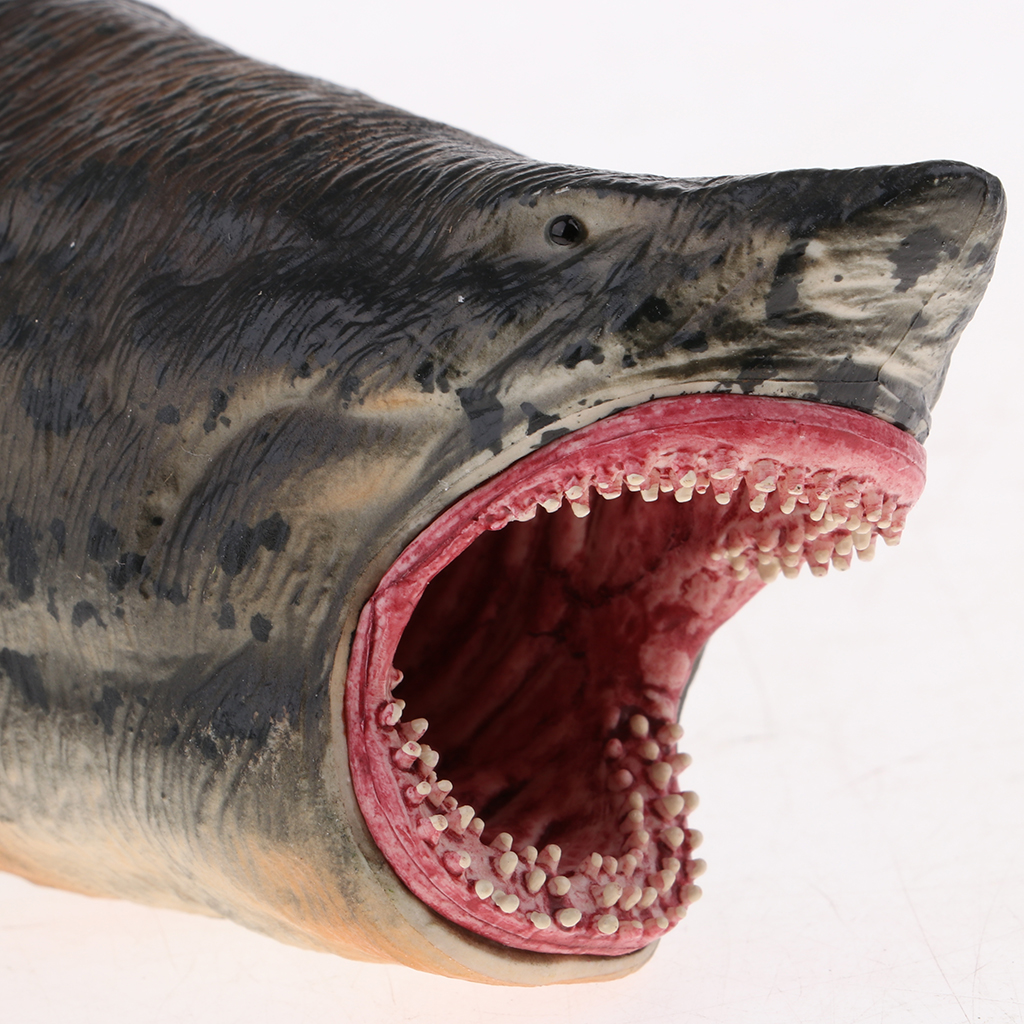 Realistic Shark Model Wild Animal Figures Ocean Animals Hollow Toy