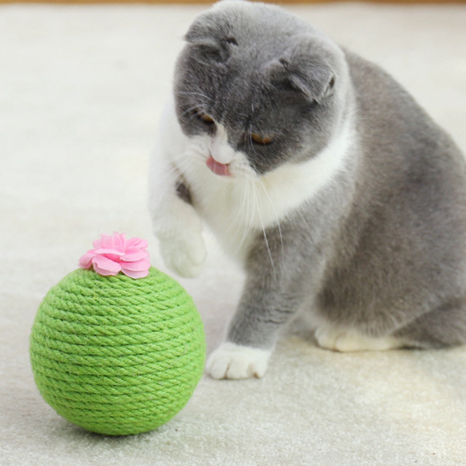 Cat Cactus Ball Toy, Pet Cats Scratching Sisal Rope Wrapped Ball with Catnip Inside Ball Track Interactive for Kittens Playing
