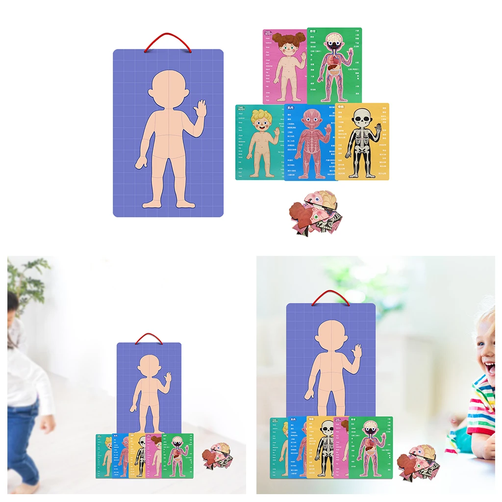 My Body Puzzle - Educational Anatomy Toy to Learn Body Parts, Organs, Muscles and Bones Perfect Kids Body Puzzle Gift