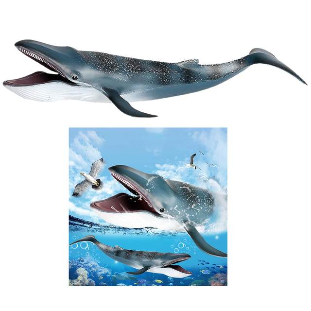 Simulation Blue Whale Animal Figure Collectible Toys Sea Animal Cognition Action Figures Kids Plastic Toys