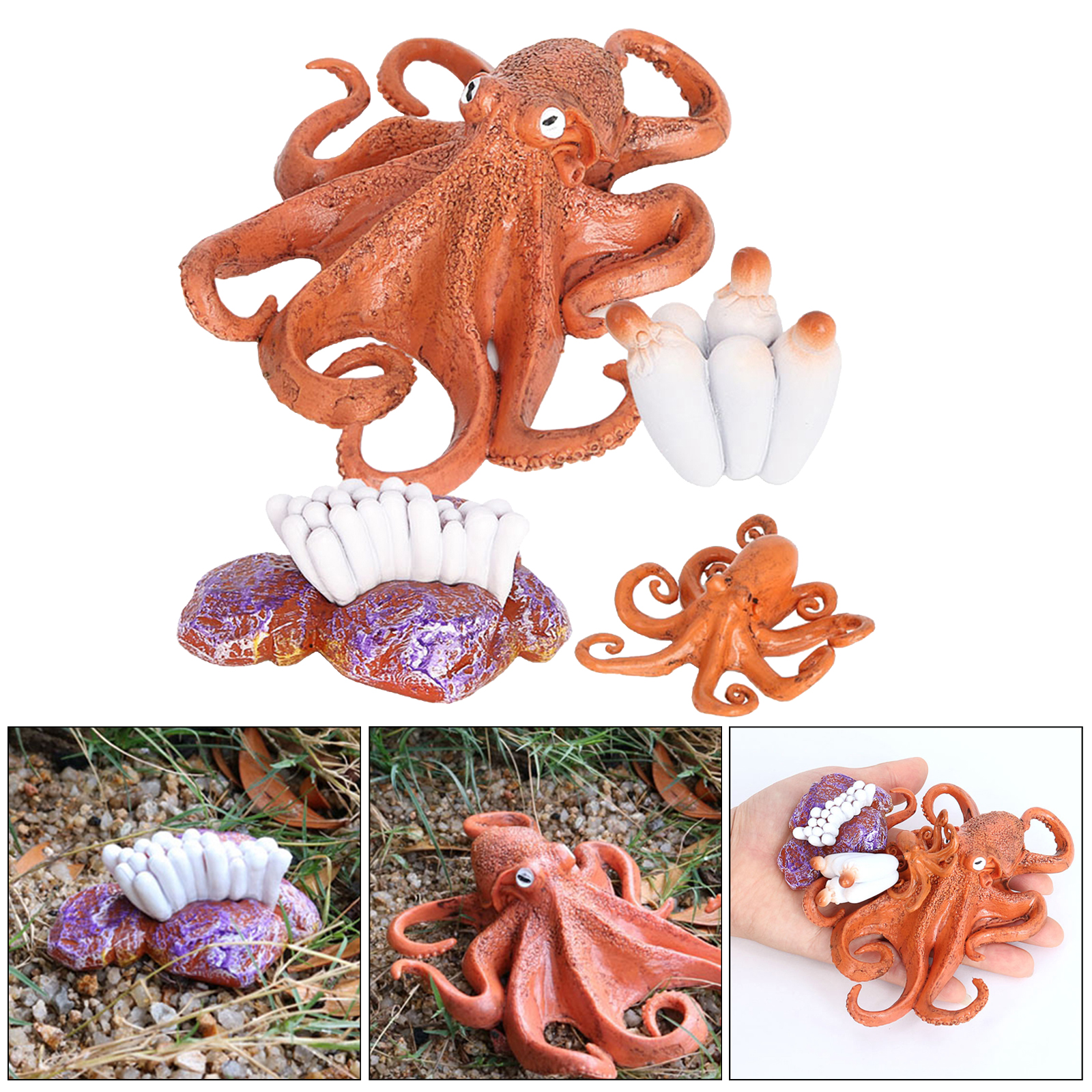 4 Stages Life Cycle of a Octopus, Insects Plastic Octopus Toy Figure - Authentic Hand Painted Model