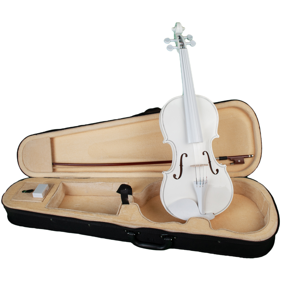 Full 4/4 Size Maple Spruce Violin with Case Bow Rosin for Students Learning Band Show