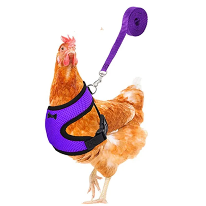 Adjustable Chicken Harness Leash Comfortable and Breathable Small Size Hen Pet Vest for Chicken Duck Goose Training Walking