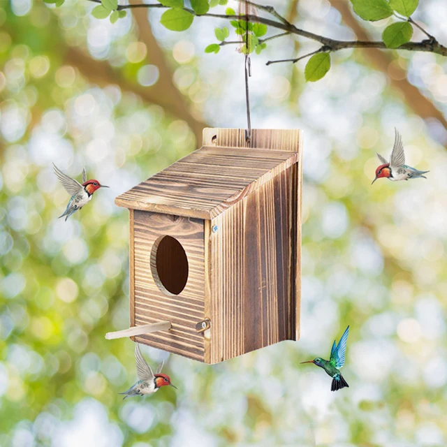 Nid d'oiseau suspendu en bois naturel, maison, Cage à oiseaux, lieu de  repos, extérieur mural, boîte en bois - AliExpress