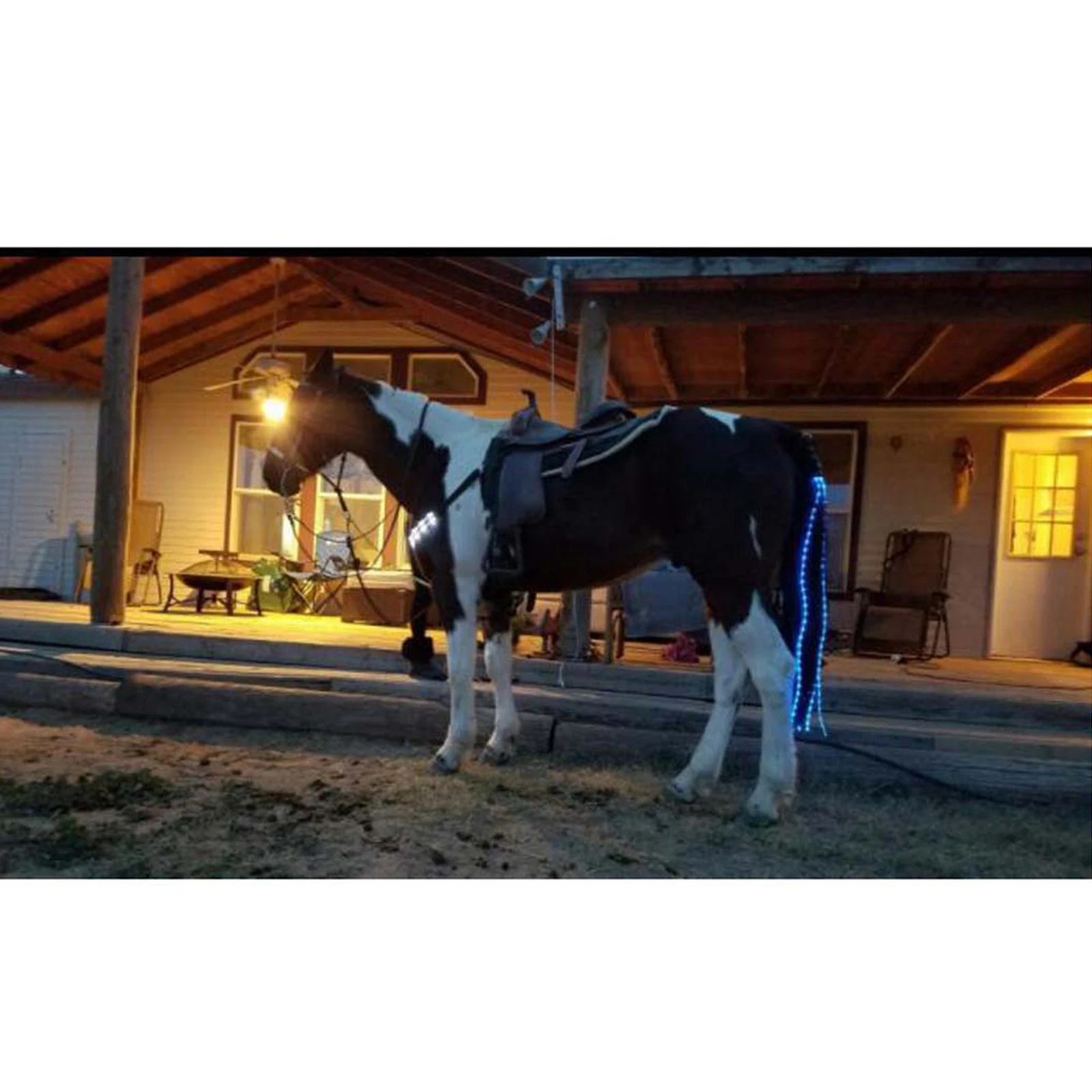 LED Horse Tail Crupper Horse Harness 100cm Neon Lights Riding Visible Lamp Light 