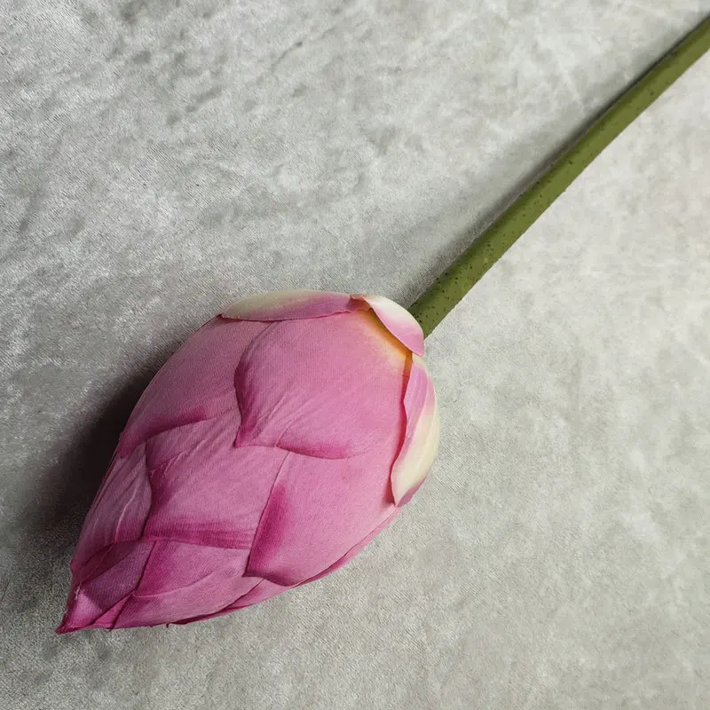 Una sola flor rosa con un tallo verde. La flor parece ser un capullo, ya que no está completamente abierta y los pétalos están muy juntos.