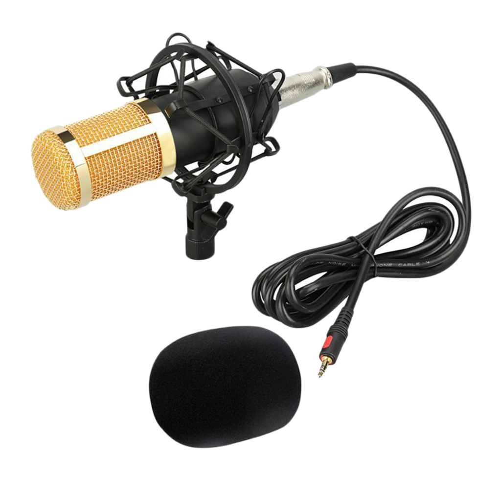 BM800 Dynamic Condenser Microphone Recording Microphone Mic for Broadcasting