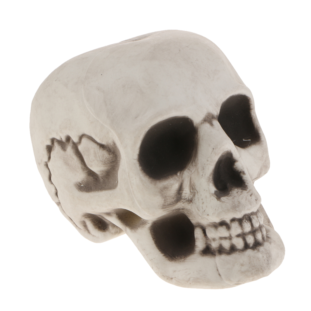 Plastic Skull Head Figurine Skeleton Model Statue Halloween Decoration Indoor Outdoor Home Table Desk Ornament Shop Display