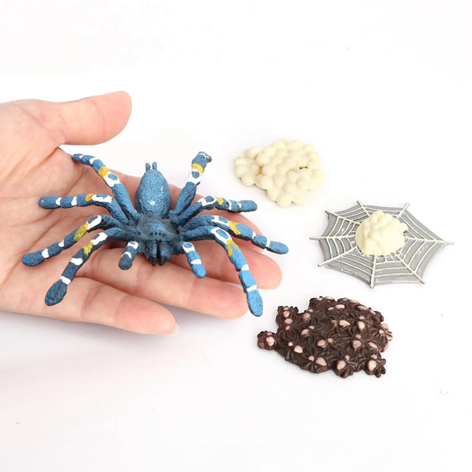 4Pcs Assorted Plastic Insects Bird Eating Spider Model Kids Educational Toy Blue