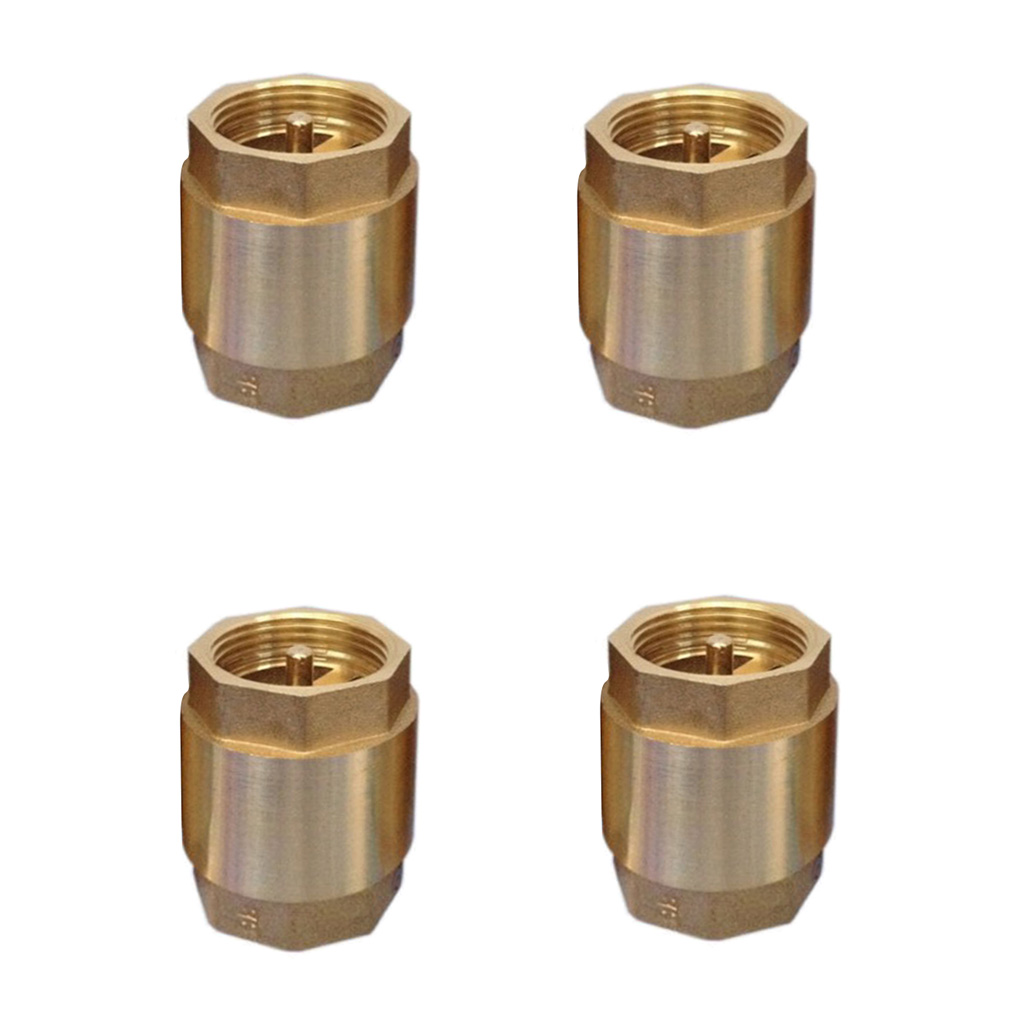 Non Return One Way Check Valve for Water Petrol  Oils ect. 2 Inch