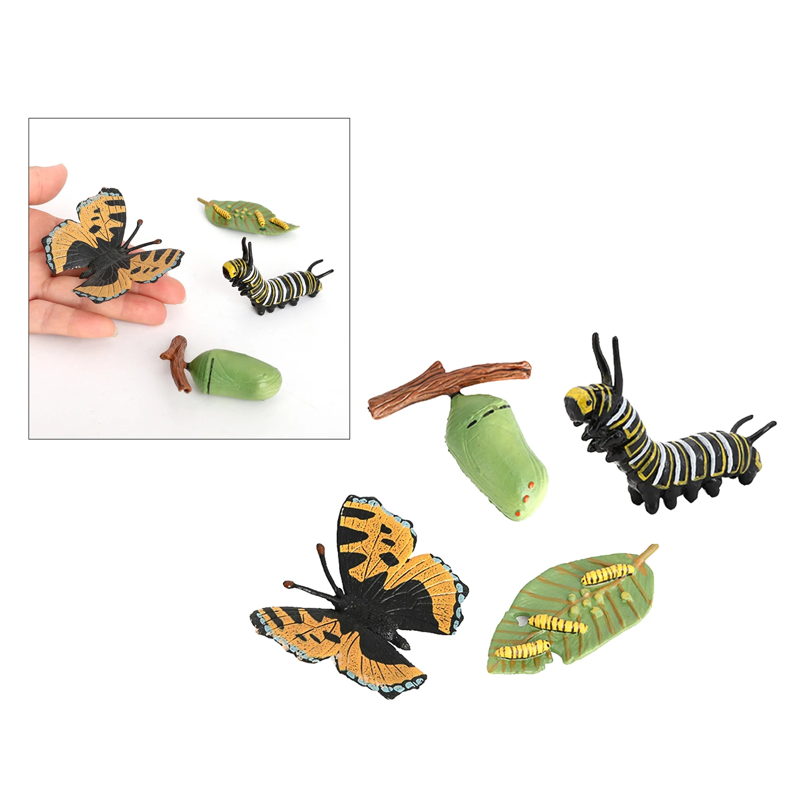 Insect Butterfly Lore  Life Cycle - 4 Pcs Insect Figure Shows Life Of Lady Bug