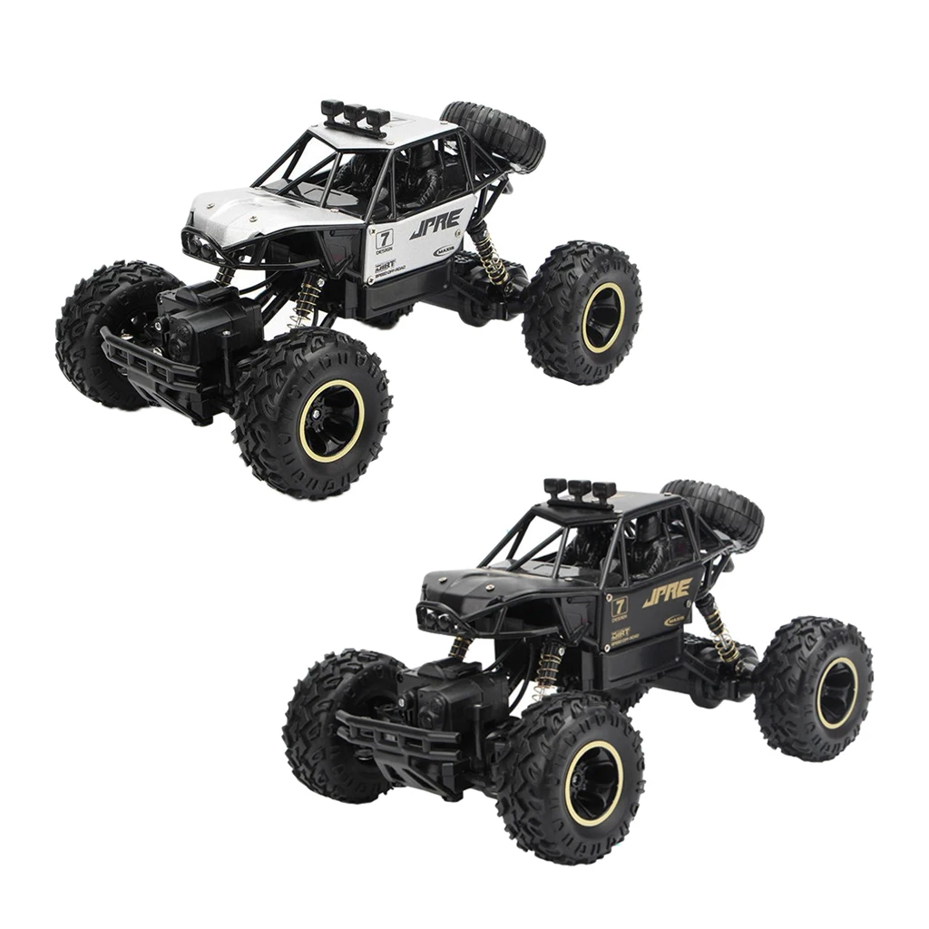 1:16 RC Car RC Buggy All Terrain Off-Road Trucks 30 Min Play for Kids Adults