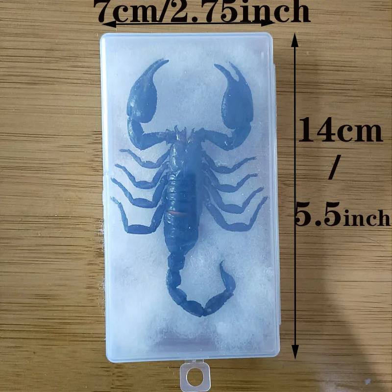 Various Scorpion Specimens Resin Sealing Ornaments Original Ecological Dry Scorpion Frame Binding Collection for Home Decoration