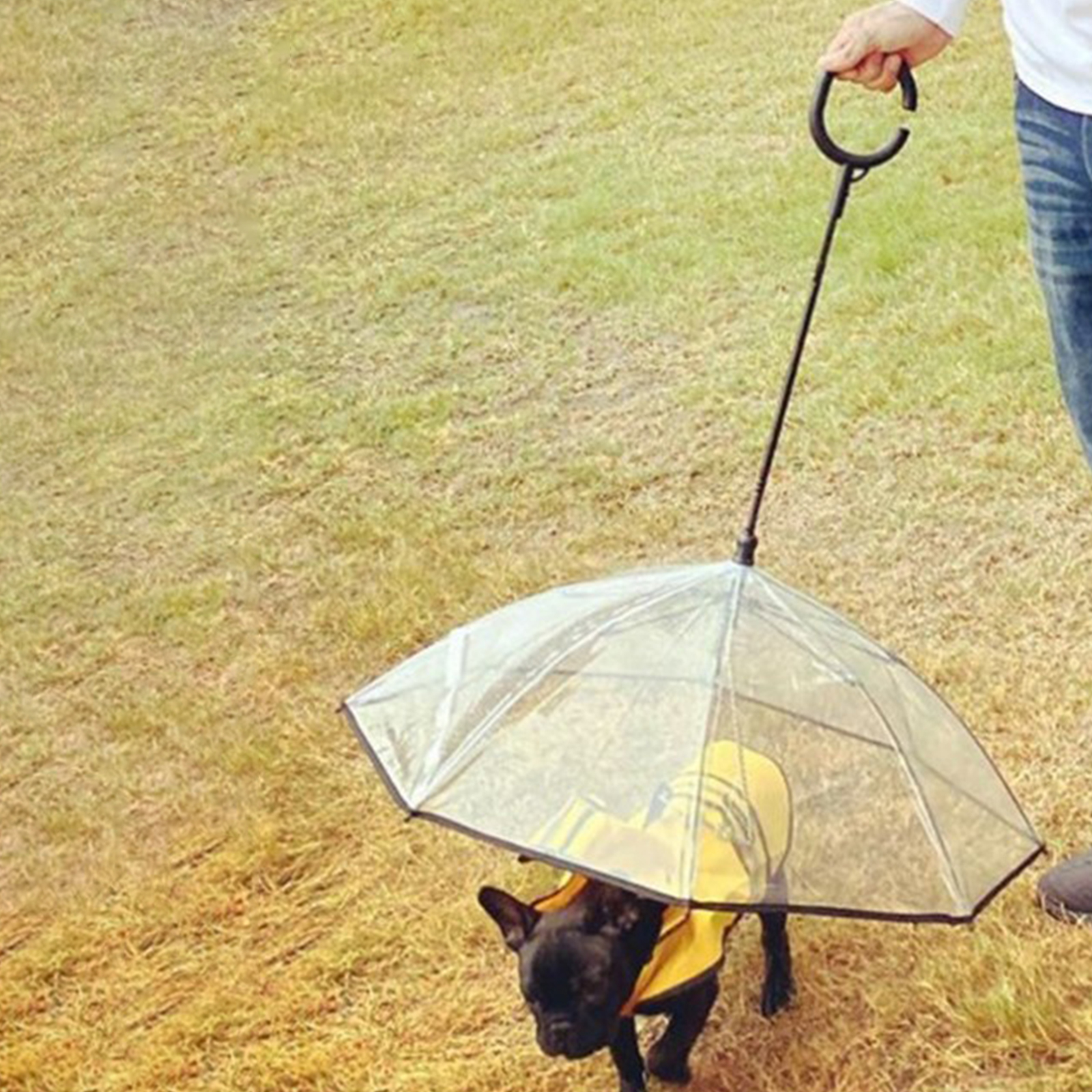 Dog Umbrella with Leash Pet Outdoor Rainproof Supplies, diameter 70cm